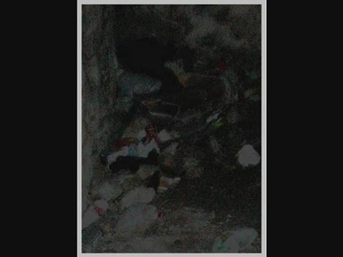 Grégory Haleux soirée Aubuscule Etant donnés : 44 - camera obscura excavée