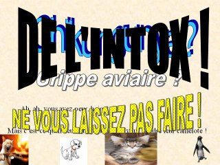 En 2012 il faut positiver-12-29-18-24_wmv