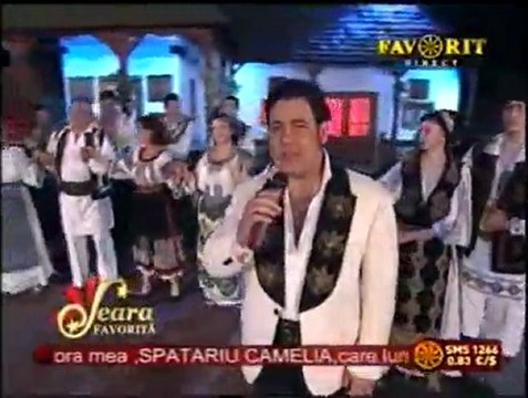 IONUT DOLANESCU Trece vremea