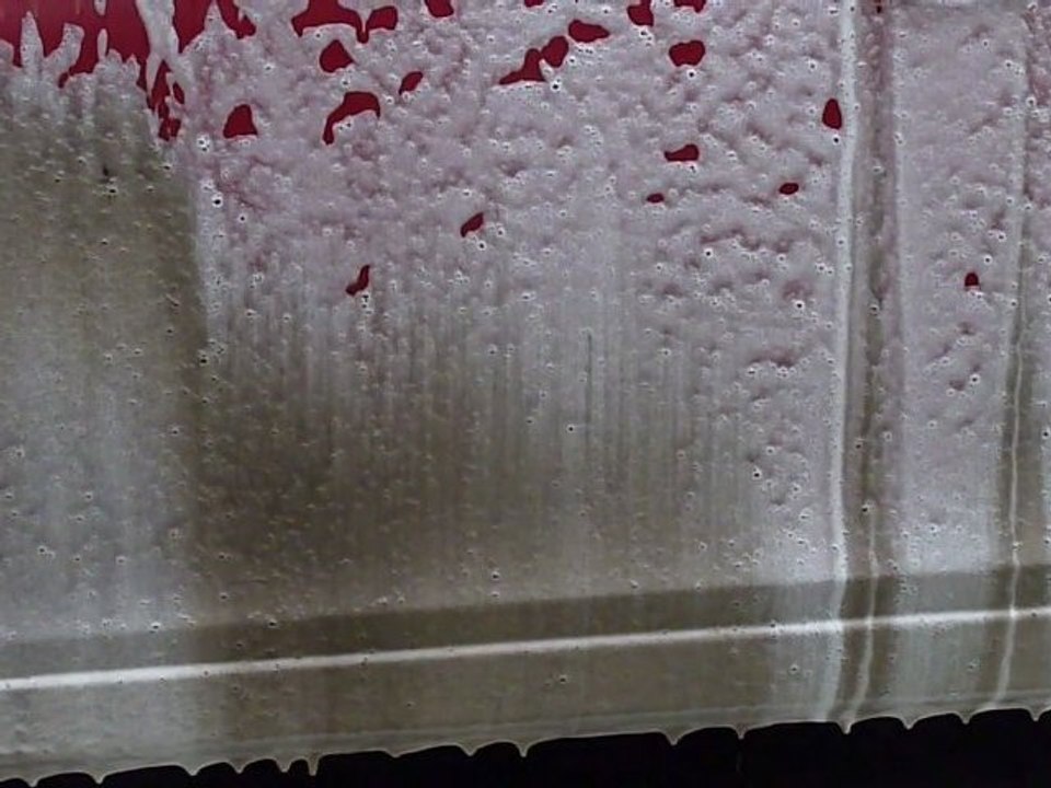 Bilt Hamber Auto-foam car wash with foam lance and pressure washer