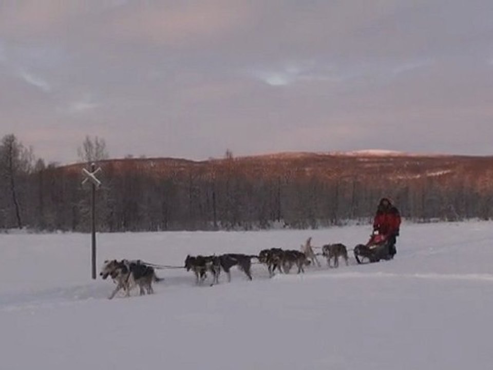 2011.12 Voyage à Slussfors en laponie suédoise avec des chiens de traineau, les norrland husky