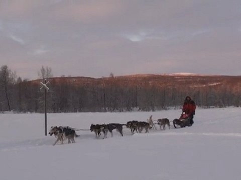 2011.12 Voyage à Slussfors en laponie suédoise avec des chiens de traineau, les norrland husky