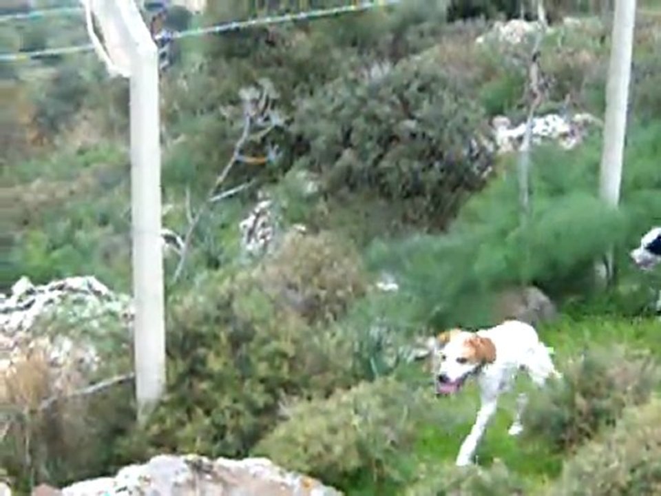 DSCN2191