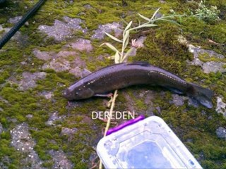 2010-2011 SEDAT balık avlarım.