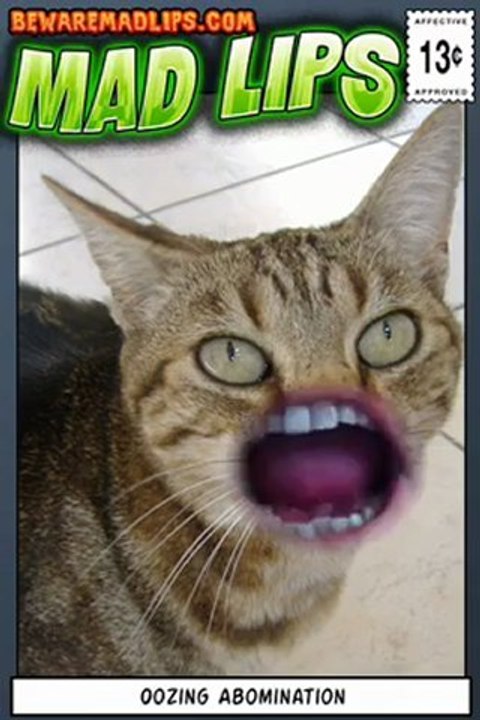 Miaou