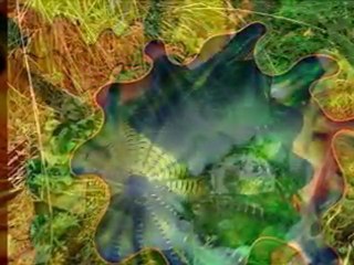 Chihuly art glace 2.