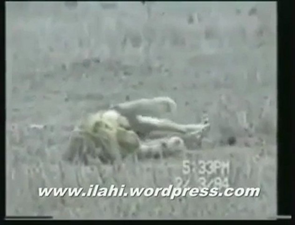 Bir Aslanın Ölüm Anı . .