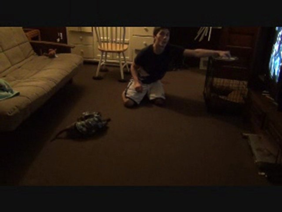 Clicker Training Tricks