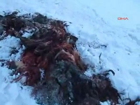 Şırnak Uludere Olay yerinden görüntüler