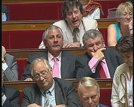 Jean-François Lamour - Question au gouvernement - Equipe de france de football - 2010