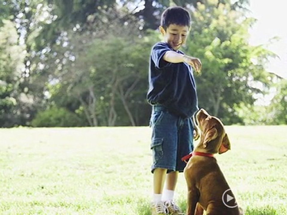 Eagle's Brooke Apartments in Locust Grove, GA - ForRent.com