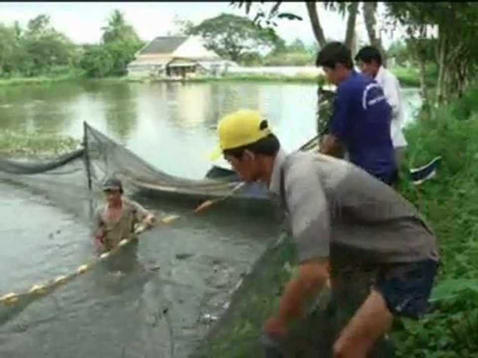 NHỊP ĐẬP THỊ TRƯỜNG 27.12.2011