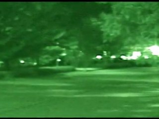 Alien . Grass Valley .Californie. 07.16.2010