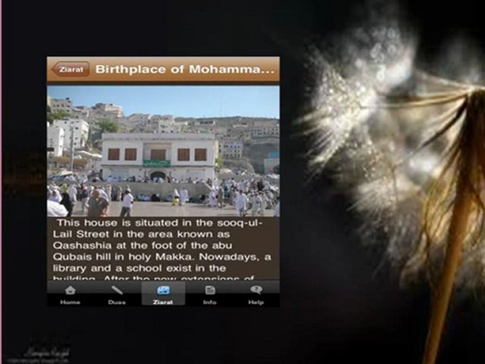 Information found in different tabs of Hajj and Umrah application