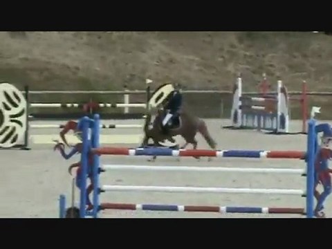 PONEYS DE CHAMPIONNAT D'EUROPE - (1) Etalon 14 ans - (2) Hongre 12 ans