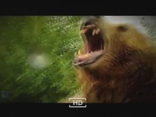 Agressions animales, Épisode [8] - 2 de 3