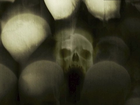 TESCHI - SKULLS - AUGUSTO DE LUCA - MASTERS OF PHOTOGRAPHY