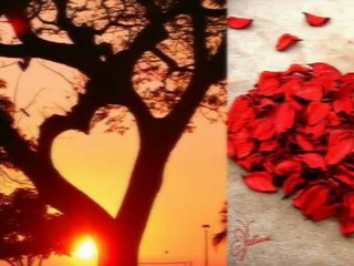 Sinan Sakic,  Ja ne volim recima vec srcem