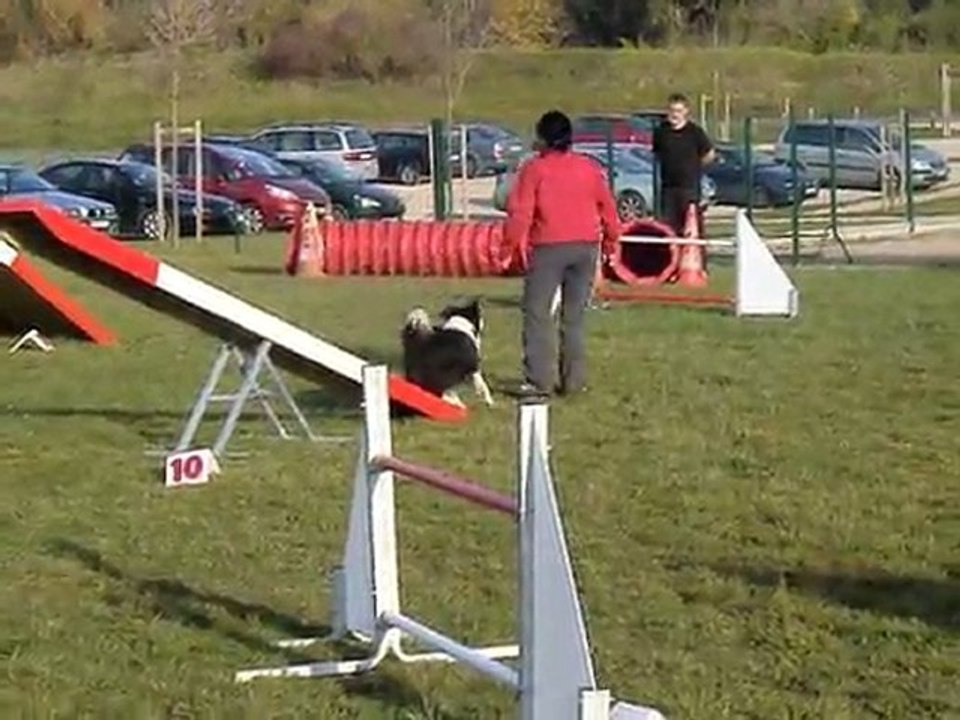 Entrainement Fidji Agility Nov11