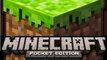 - Vidéo FUN - Minecraft Pocket (PSP)