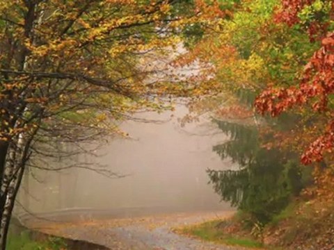 YAVUZ BİNGÖL-ZİFİR SAÇLARIN