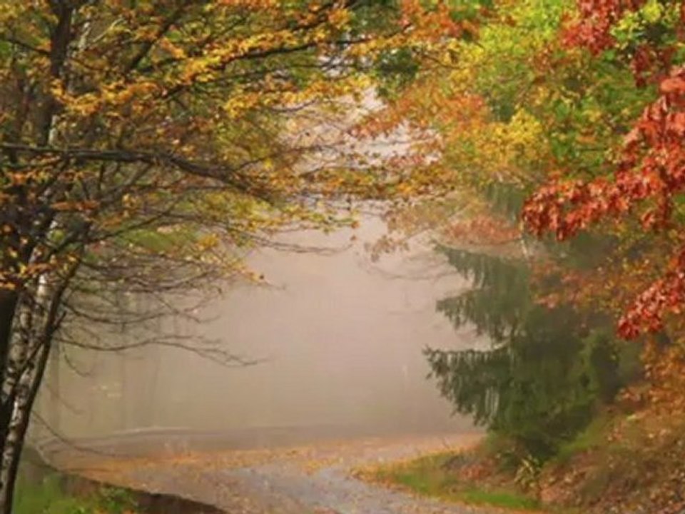 YAVUZ BİNGÖL-ZİFİR SAÇLARIN