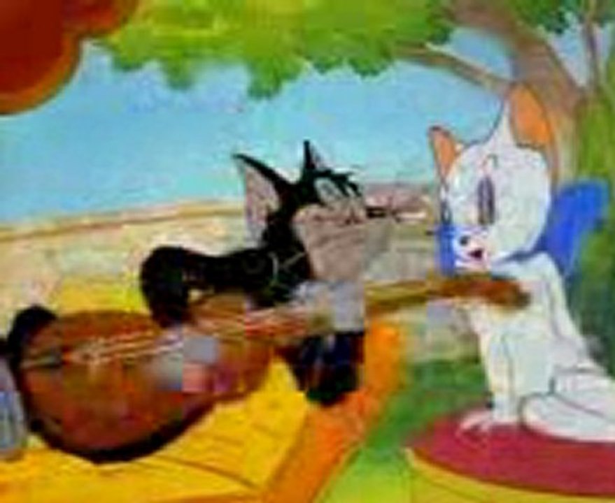 Kedi namık
