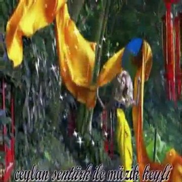 kurban olam gitme azer bülbül yıldız tilbe