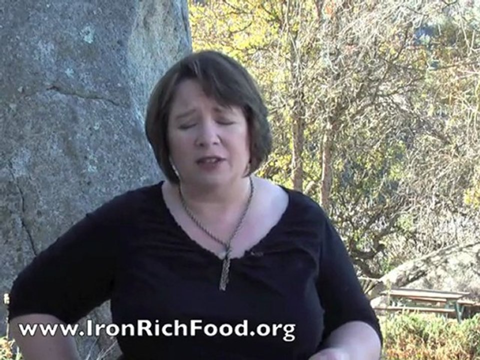 Liquid Iron Supplements