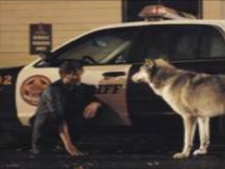 Watch Once Upon a Time S01E07 - The Heart is a Lonely Hunter