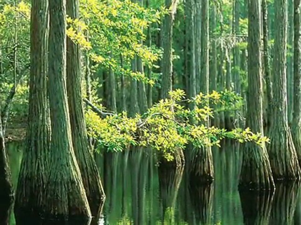 Mehmet İPEKÇİOĞLU-Siyah gözlerine benide götür