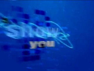 Energy Introduction in After Effects ⚡