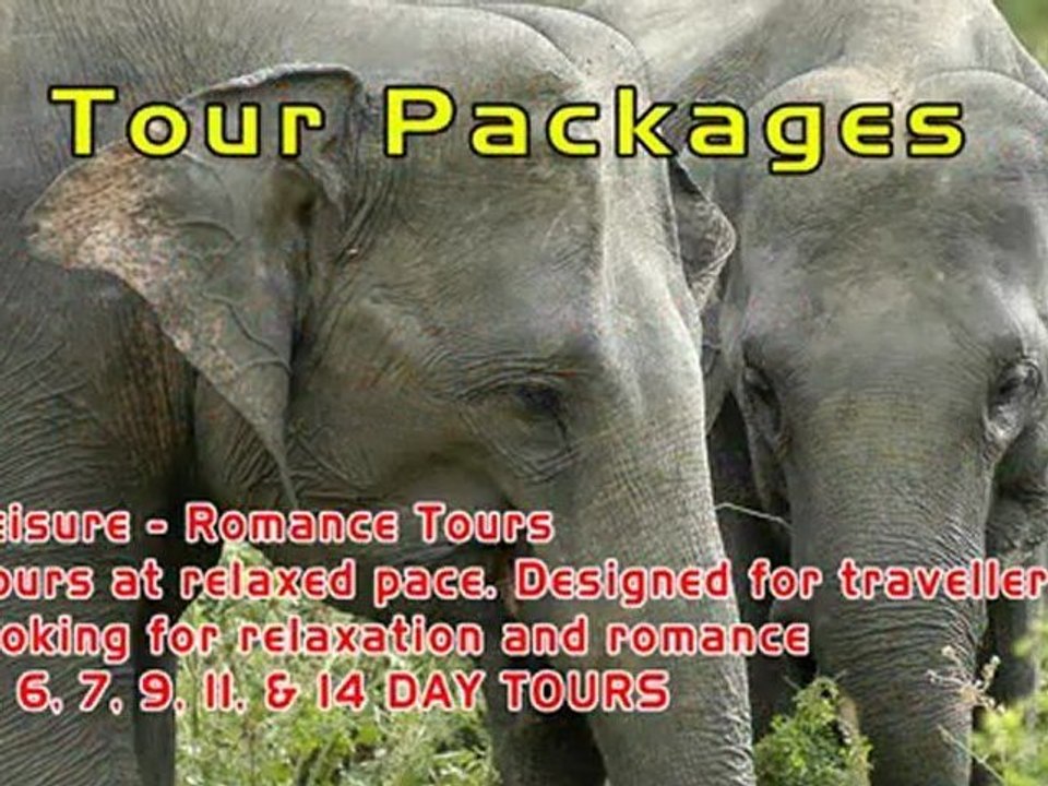 Green Lanka Travel