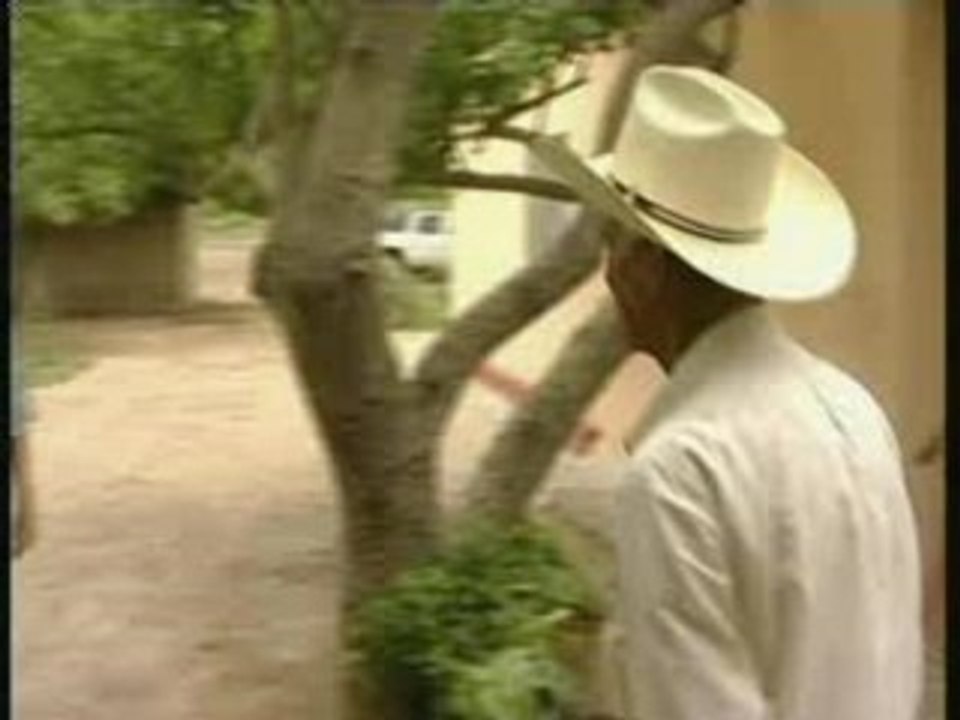 Les Pirates du vivant