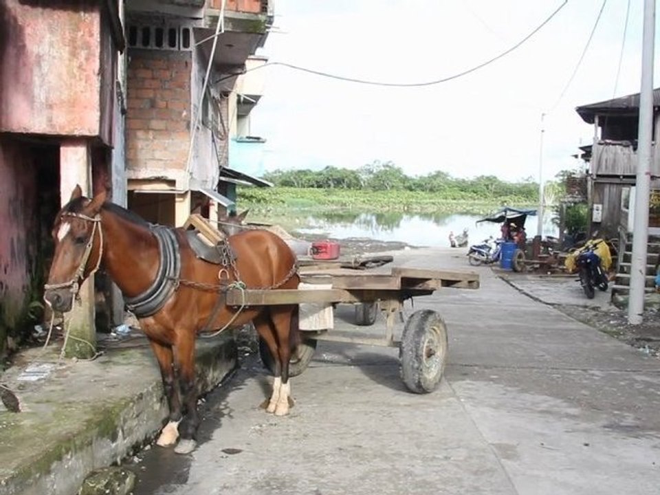 Las toldas: ventas de comida tradicional en Puerto Asis, Putumayo, Colombia