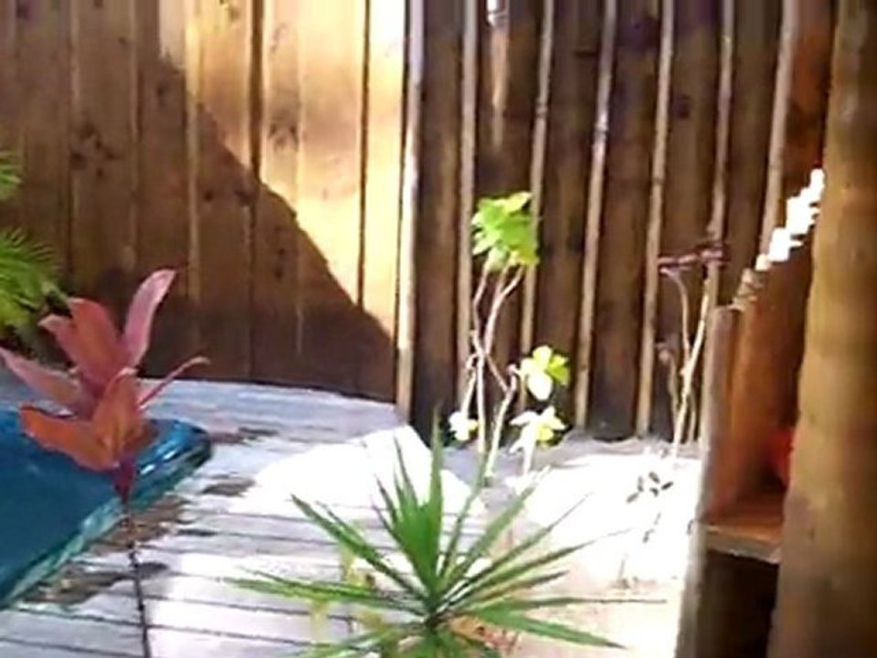 bungalow