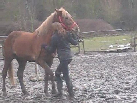 Kaïzer au cabré ( 2 )