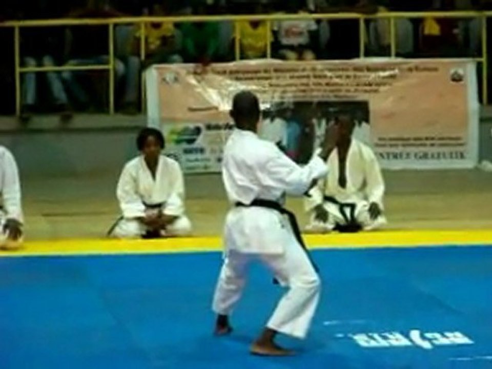 acam2011-karate