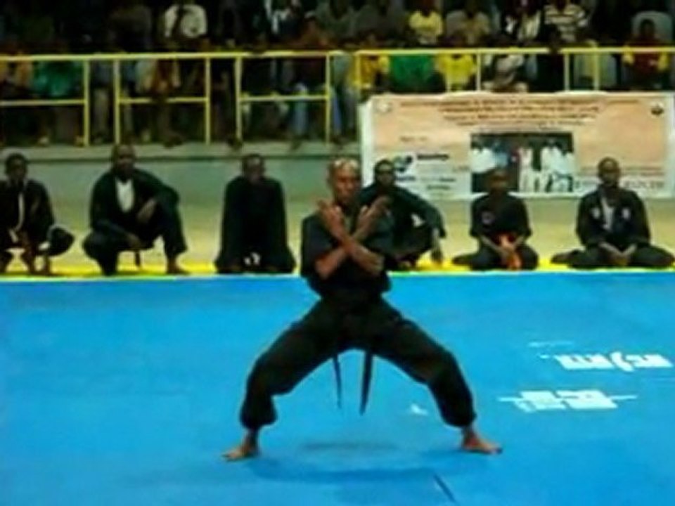 acam2011-kungfu-2