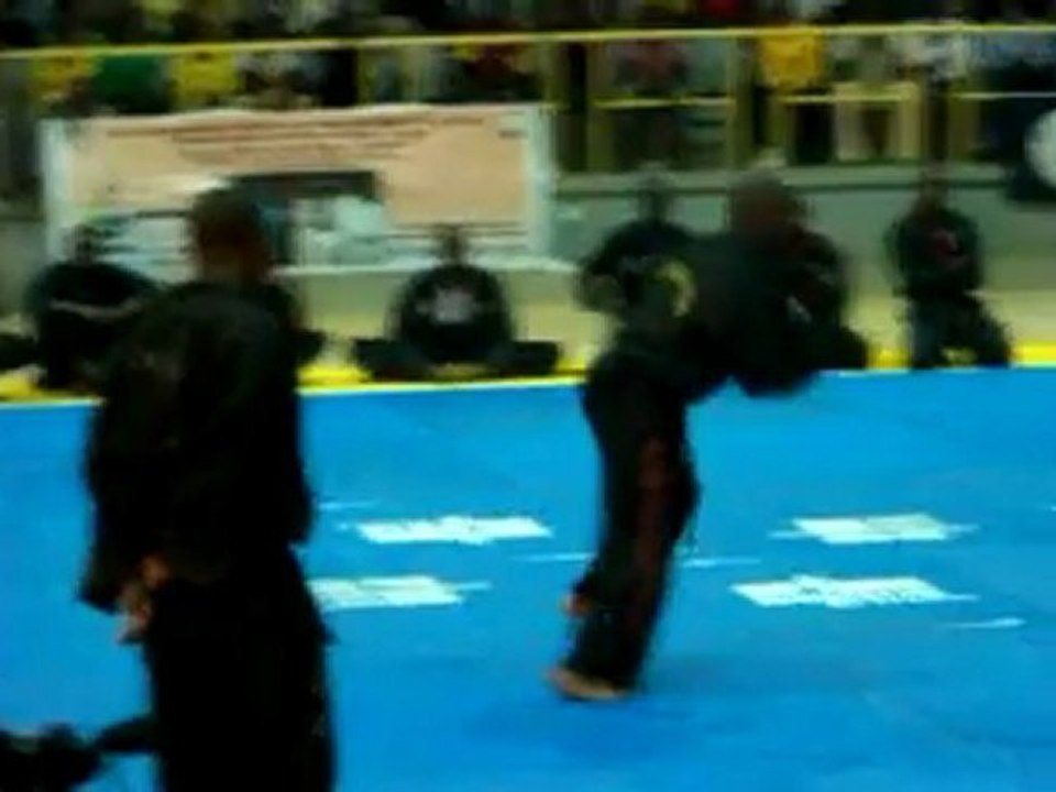 acam2011-kungfu-3