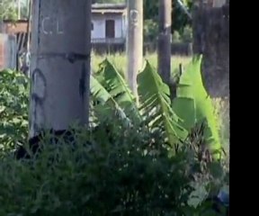 Retrospectiva 2011 30-12-2011 Parte 2