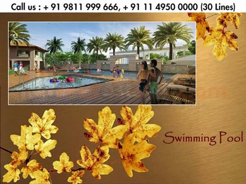 Vipul Lavanya Gurgaon +91 9811 999 666 Apartments in Sector 81 Gurgaon