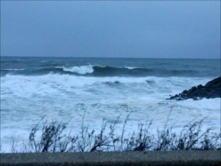 surf report de 09h00