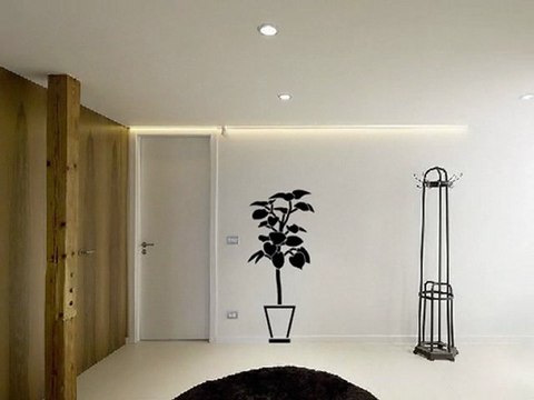 colección de vinilos florales decorativos