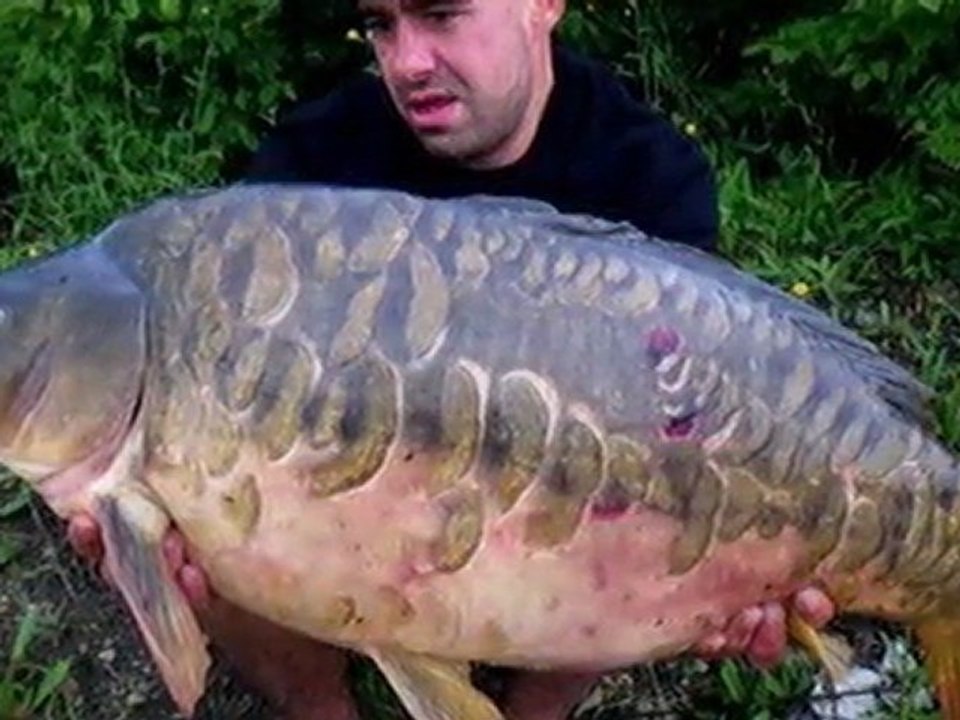 diashow 2010/ 2011 by carpking42