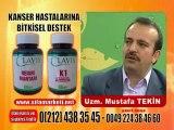 Dr Mustafa Eraslan-Clavis Reishi Mantarı-Clavis K1