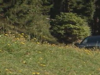 Rückblick 2011, 4. Quartal