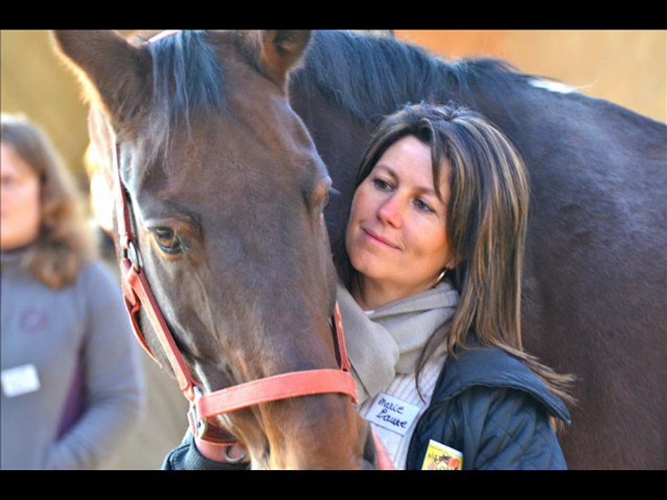 Des bons moments de l'année 2011