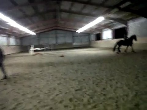 Beau Frison Gerrit le 29 decembre 2011, nath en selle après seulement 5h de cours d'équitation