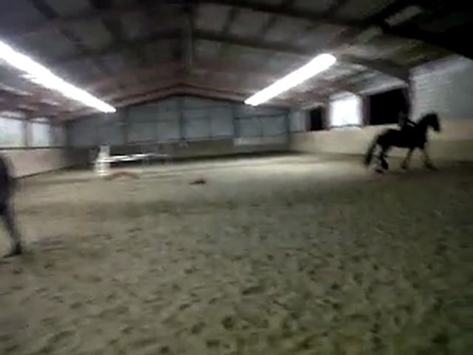 Beau Frison Gerrit le 29 decembre 2011, nath en selle après seulement 5h de cours d'équitation